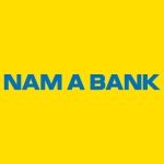 NGÂN HÀNG THƯƠNG MẠI CỔ PHẦN NAM Á