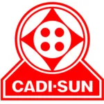 CÔNG TY CỔ PHẦN DÂY VÀ CÁP ĐIỆN THƯỢNG ĐÌNH