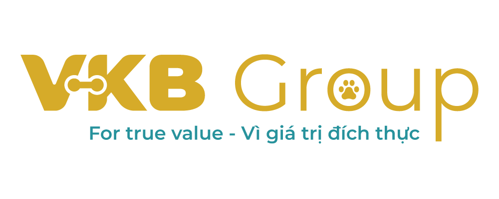 Công ty TNHH VKB Group