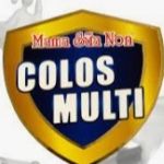 CÔNG TY TNHH MAMA SỮA NON