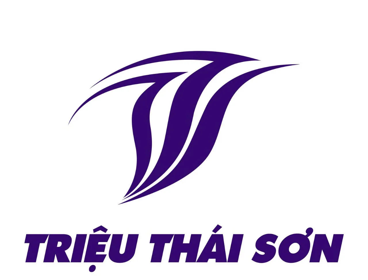 CÔNG TY TNHH TRIỆU THÁI SƠN
