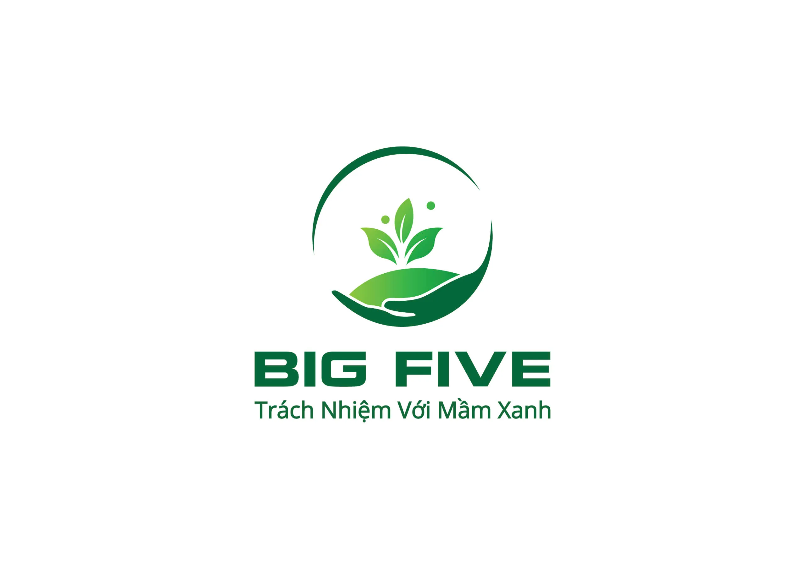 CÔNG TY CỔ PHẦN BIGFIVE VIỆT NAM