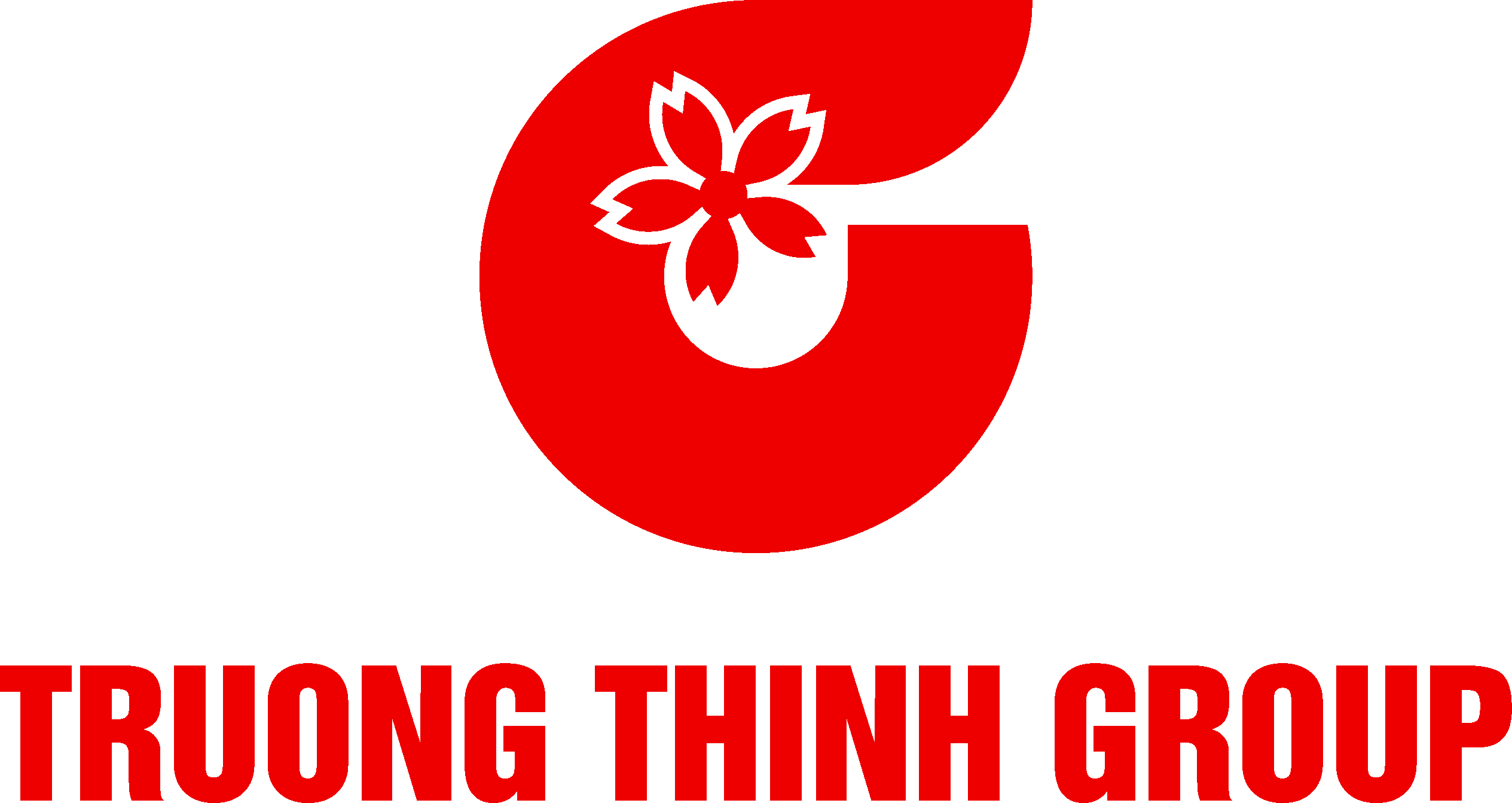 CÔNG TY CỔ PHẦN VIỆT NAM TRƯỜNG THỊNH