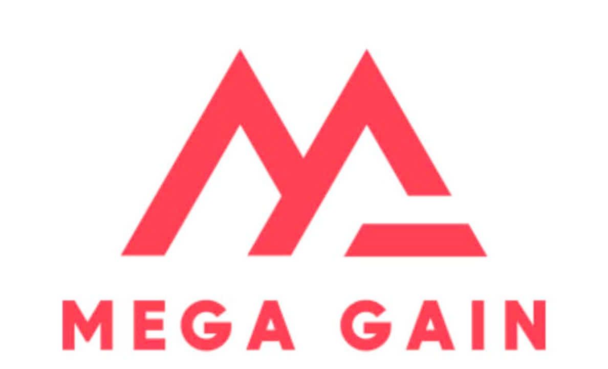 CÔNG TY TNHH TÌM NGUỒN CUNG ỨNG MEGA GAIN (VIỆT NAM)