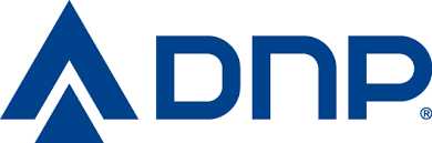 CÔNG TY CP DNP HOLDING