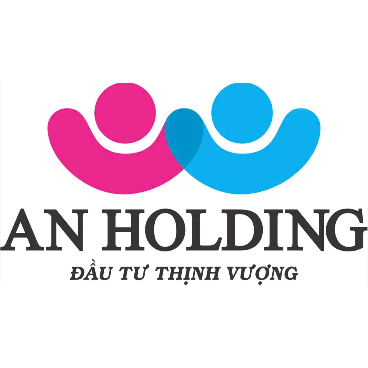 CÔNG TY CỔ PHẦN ĐẦU TƯ AN HOLDING