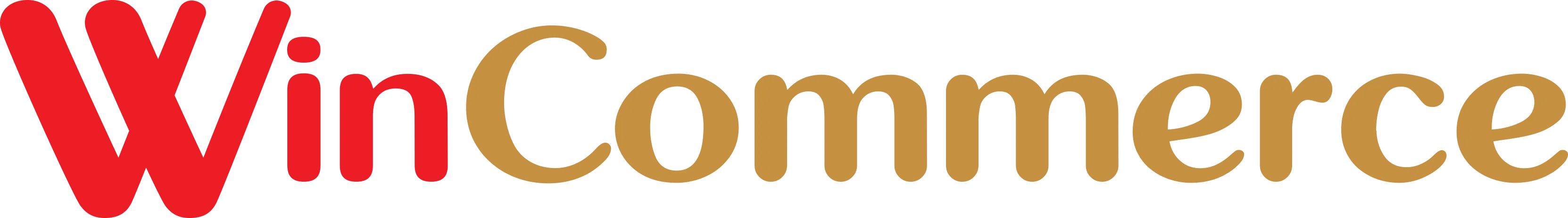 CÔNG TY CỔ PHẦN DỊCH VỤ THƯƠNG MẠI TỔNG HỢP WINCOMMERCE
