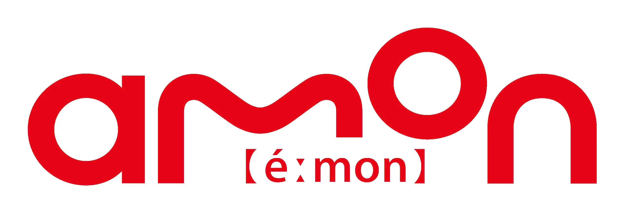 CÔNG TY TNHH AMON VIỆT NAM