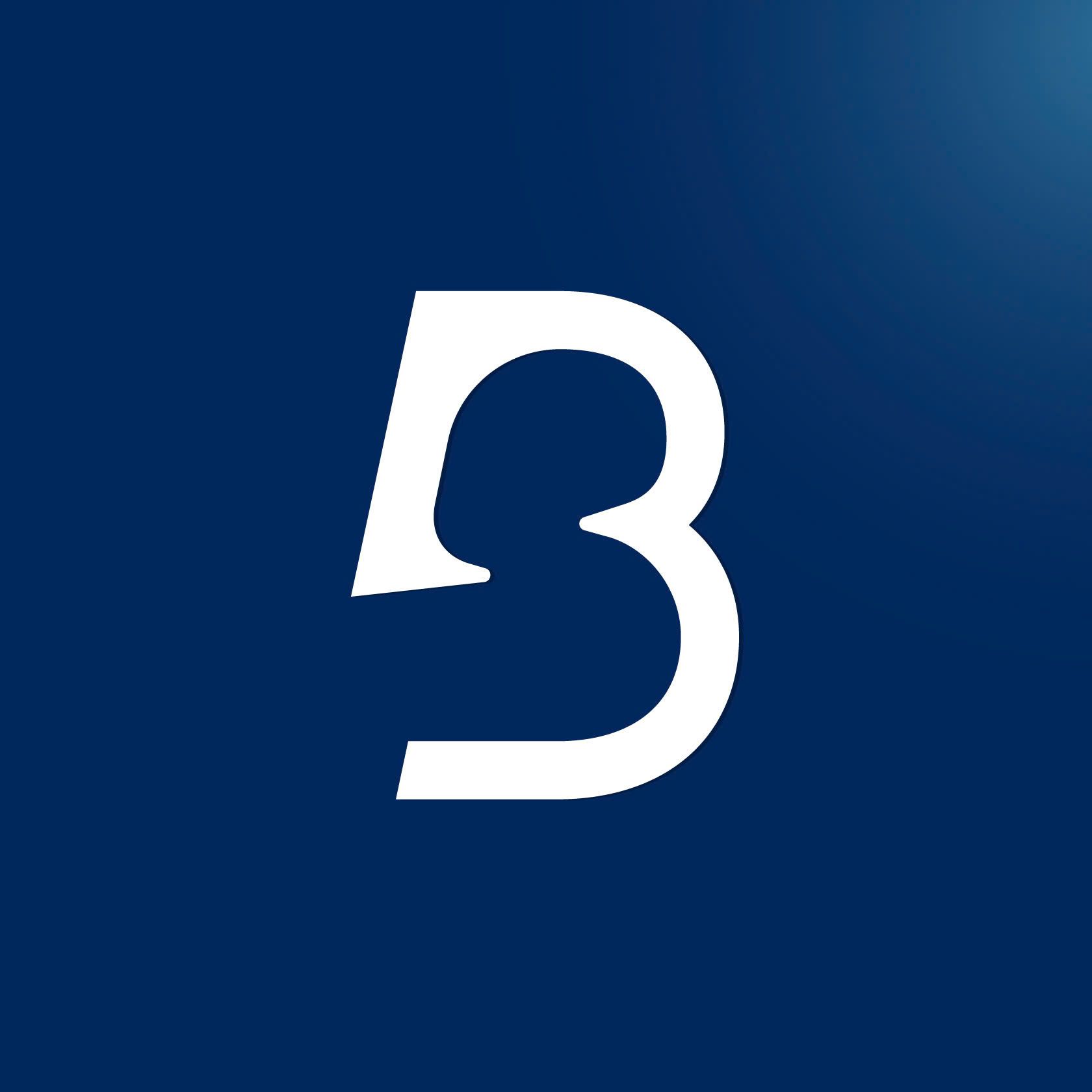 Boxerman