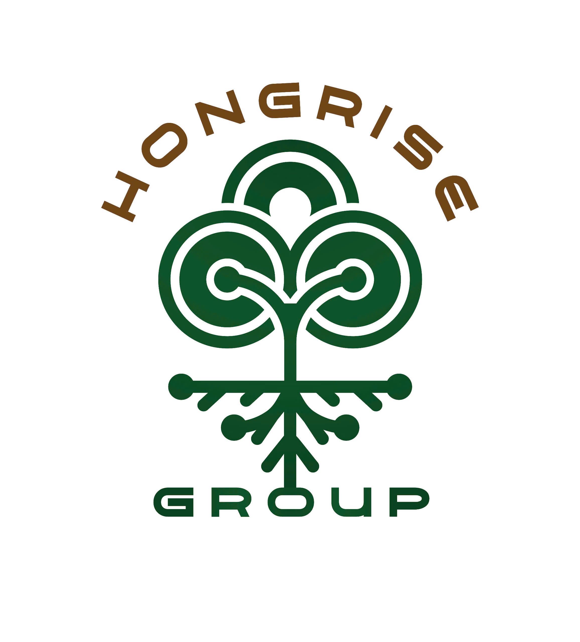 CÔNG TY CỔ PHẦN HONGRISE HOLDING