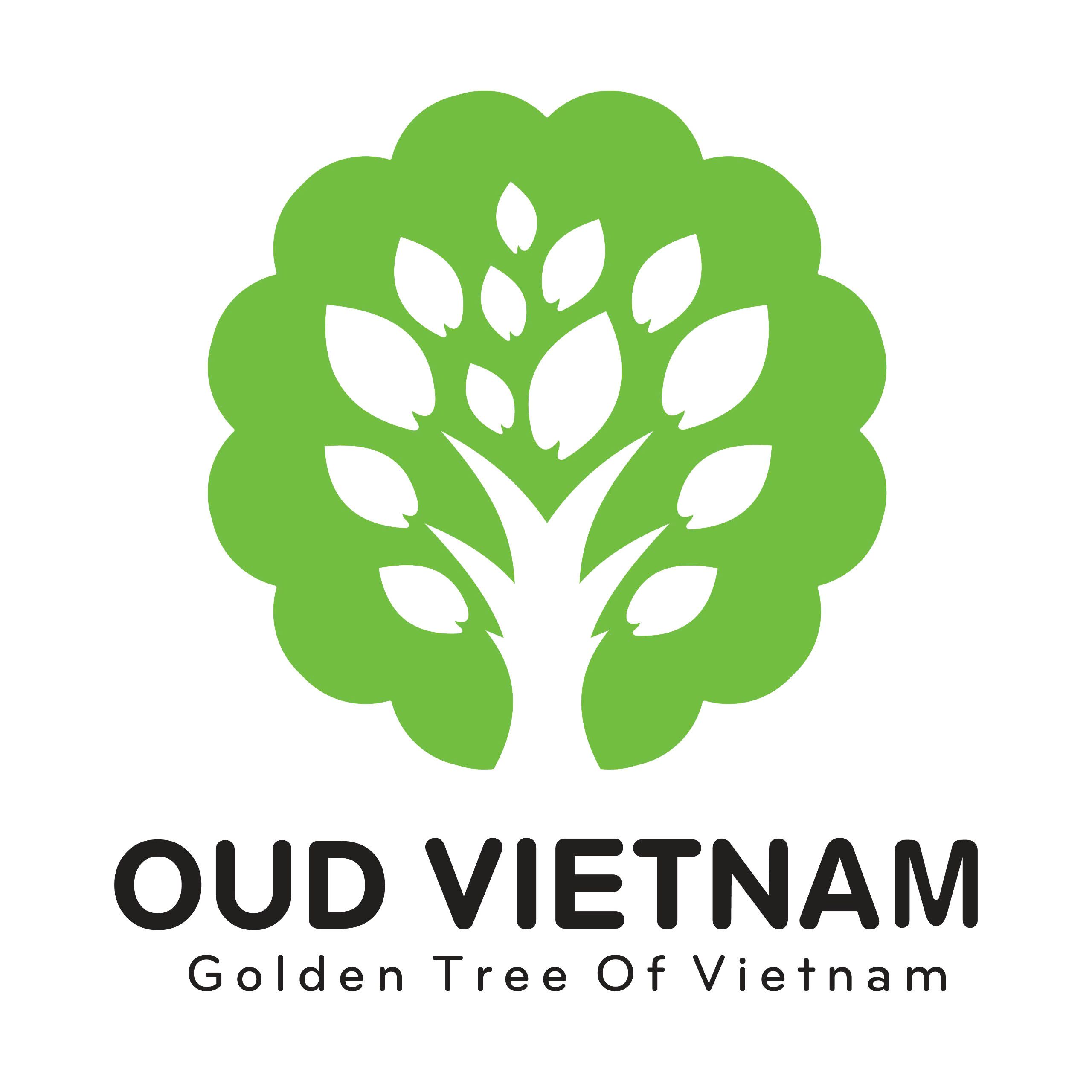 CÔNG TY TNHH SẢN XUẤT VÀ THƯƠNG MẠI TRẦM HƯƠNG VIỆT NAM