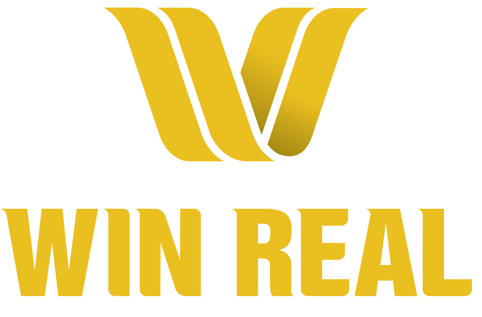 CÔNG TY CỔ PHẦN ĐẦU TƯ ĐỊA ỐC WIN REAL