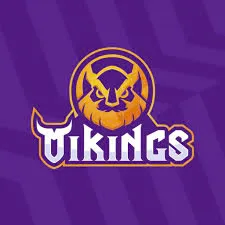 CÔNG TY CỔ PHẦN VIKINGS VIỆT NAM