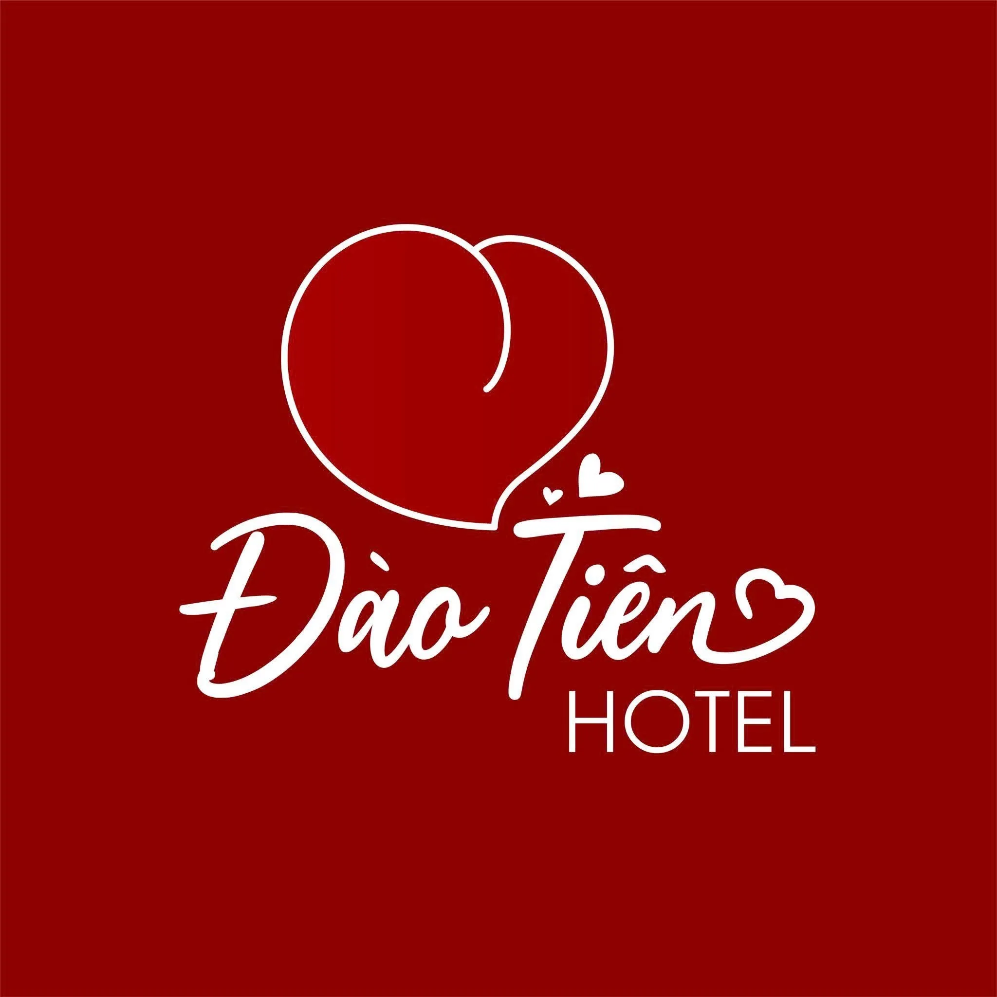 CÔNG TY TNHH ĐẦU TƯ THƯƠNG MẠI VÀ DỊCH VỤ 20+