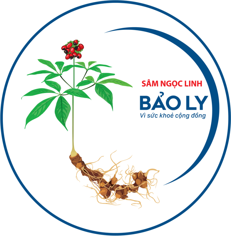 CÔNG TY TNHH MỘT THÀNH VIÊN BẢO LY