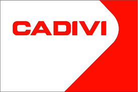CHI NHÁNH CÔNG TY TNHH MỘT THÀNH VIÊN CADIVI ĐỒNG NAI - CADIVI ĐÀ NẴNG