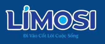 CÔNG TY CỔ PHẦN GIẢI PHÁP TSD