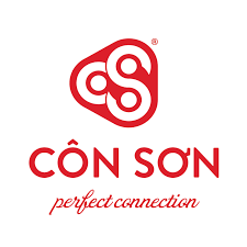 CÔNG TY TNHH PHÁT TRIỂN CÔNG NGHỆ VÀ HẠ TẦNG KỸ THUẬT CÔN SƠN
