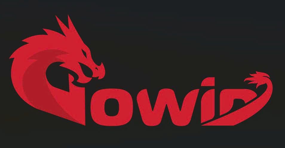 CÔNG TY TNHH THƯƠNG MẠI QUỐC TẾ GOWIN
