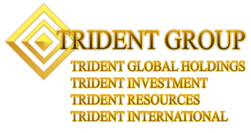 CÔNG TY CỔ PHẦN TRIDENT RESOURCES