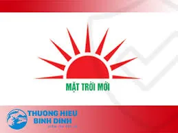 CÔNG TY CỔ PHẦN VẬT TƯ KỸ THUẬT NÔNG NGHIỆP BÌNH ĐỊNH