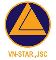 CÔNG TY CỔ PHẦN HOÀN THIỆN SAO VIỆT