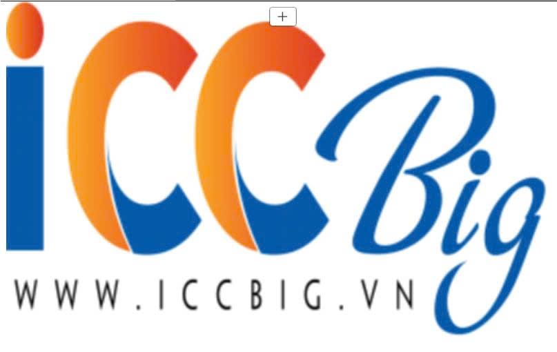Công ty Cổ phần Đầu tư Xây dựng ICC BIG