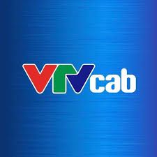 CHI NHÁNH CÔNG TY CỔ PHẦN TỔNG CÔNG TY TRUYỀN HÌNH CÁP VIỆT NAM TẠI QUẢNG NINH