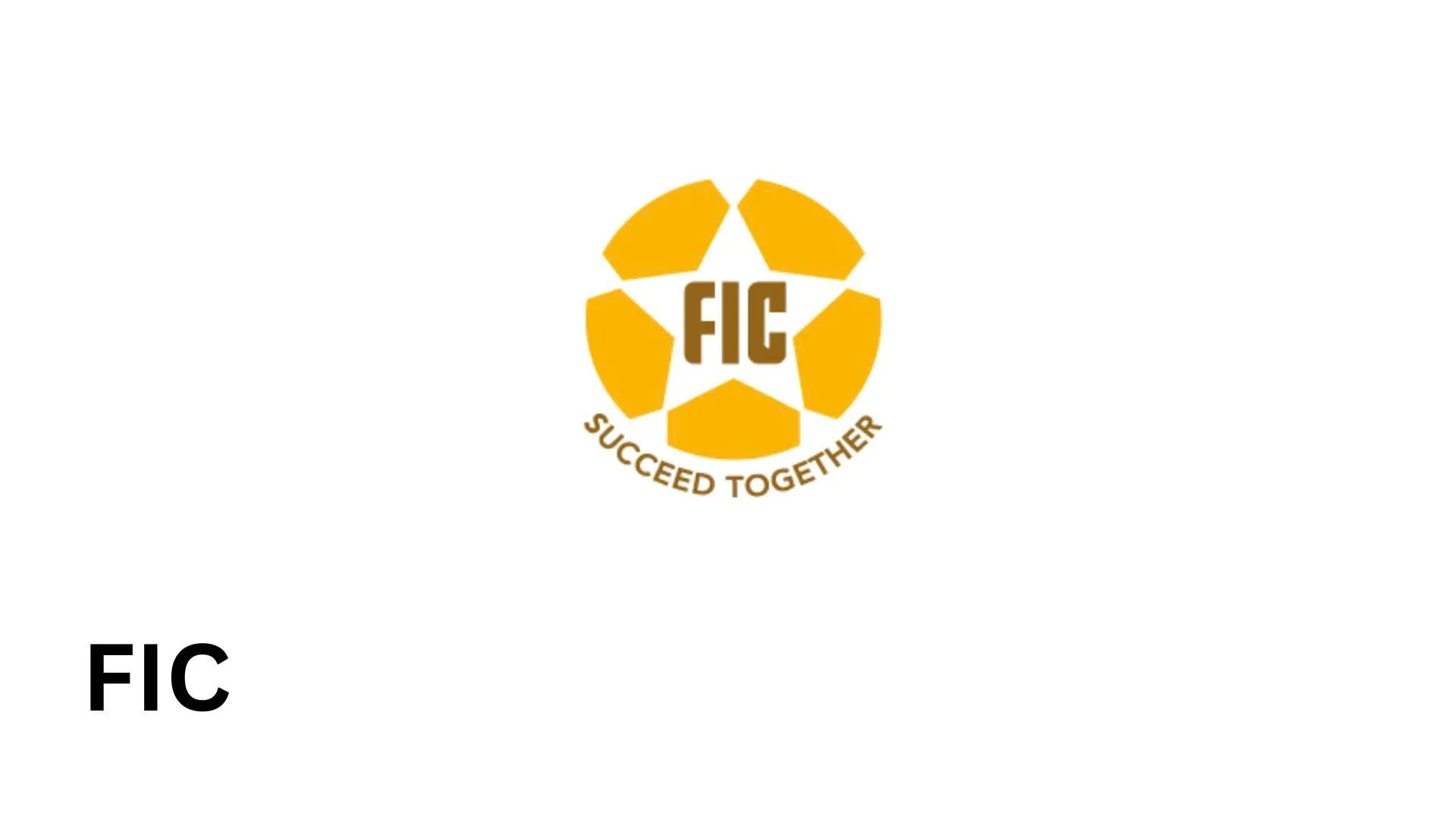 CÔNG TY CỔ PHẦN TẬP ĐOÀN ĐẦU TƯ FLYONE