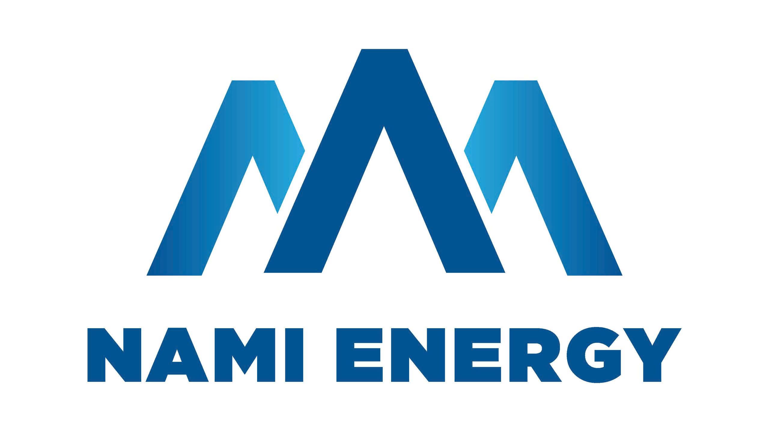 CÔNG TY CỔ PHẦN NĂNG LƯỢNG MẶT TRỜI NAMI