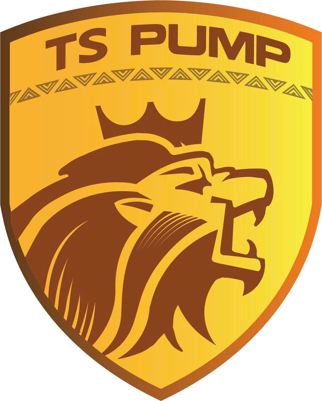 CÔNG TY TNHH CHẾ TẠO BƠM TS