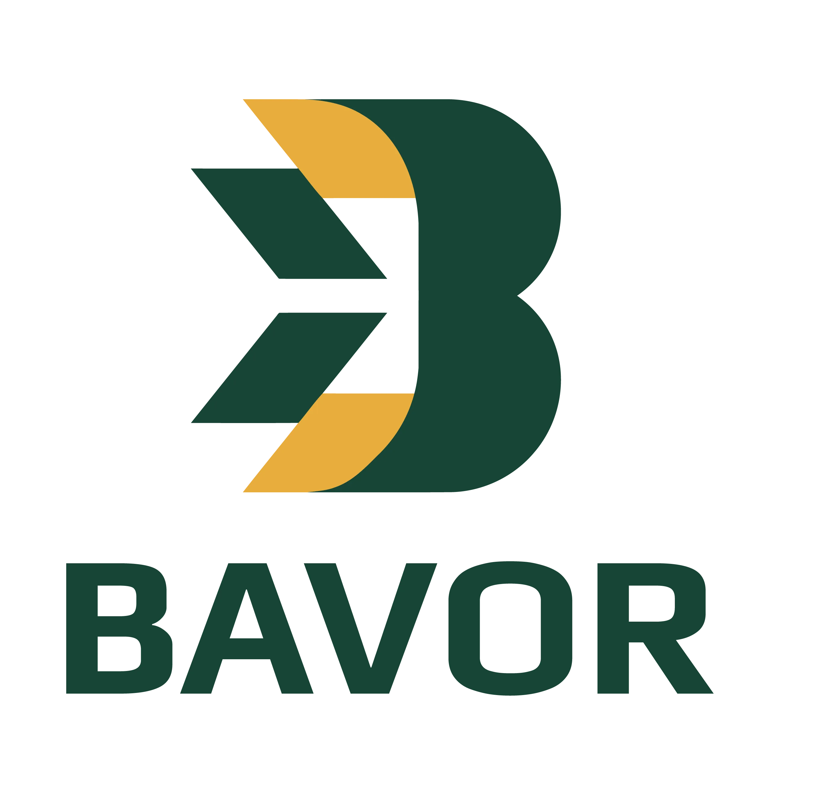 CÔNG TY TNHH MỘT THÀNH VIÊN BAVOR CONSULTING