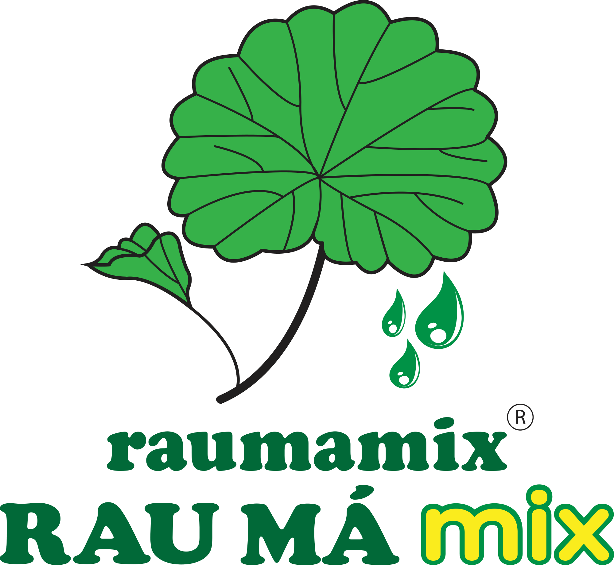 HỘ KINH DOANH RAU MÁ MIX 2