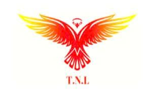 CÔNG TY CỔ PHẦN TIẾP VẬN TRUNG NGUYÊN