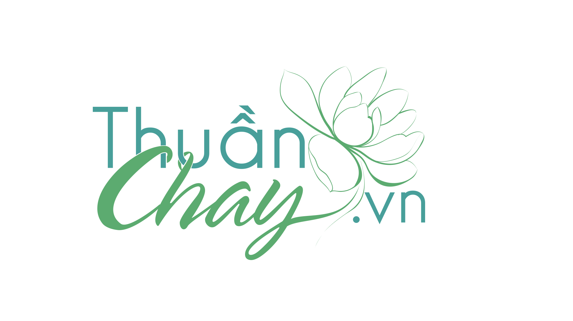 CÔNG TY TNHH THUANCHAY.VN