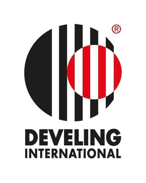 CÔNG TY TRÁCH NHIỆM HỮU HẠN DEVELING QUỐC TẾ (VIỆT NAM)