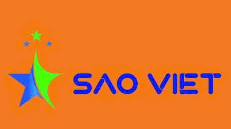CÔNG TY TNHH KINH DOANH XUẤT NHẬP KHẨU SAO VIỆT MIỀN NAM