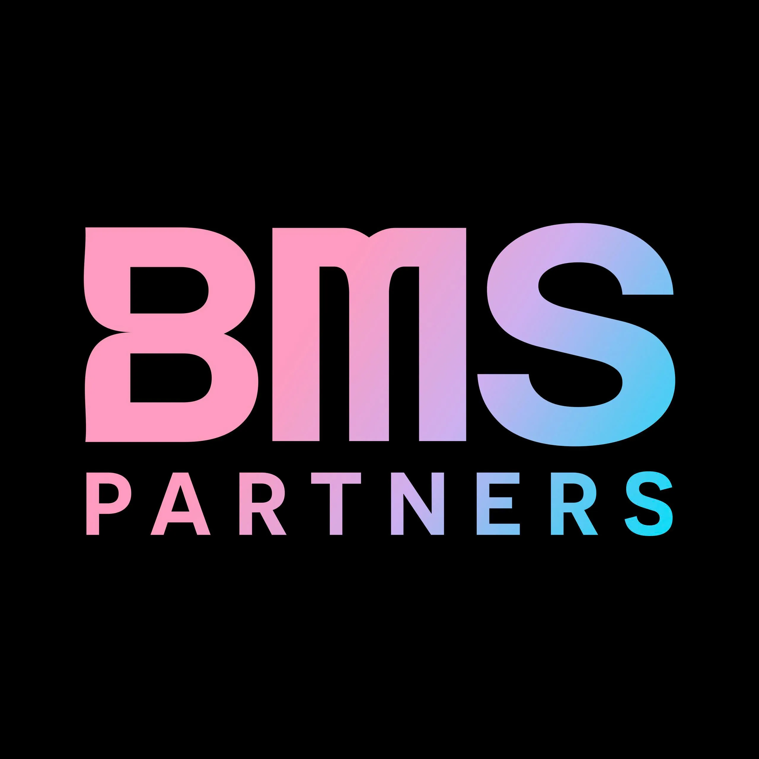 CÔNG TY TNHH BMS PARTNERS