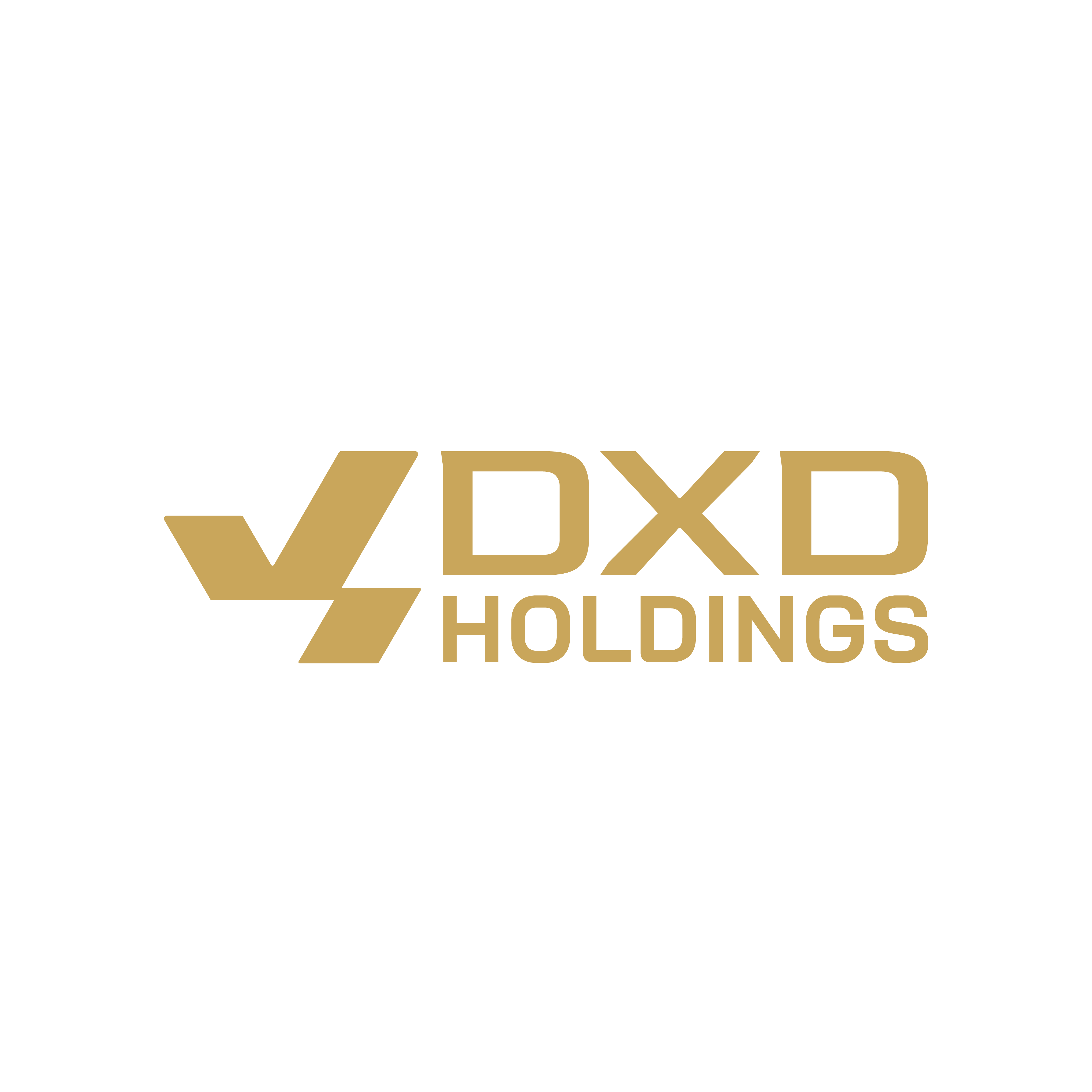 CÔNG TY TNHH DXD HOLDINGS