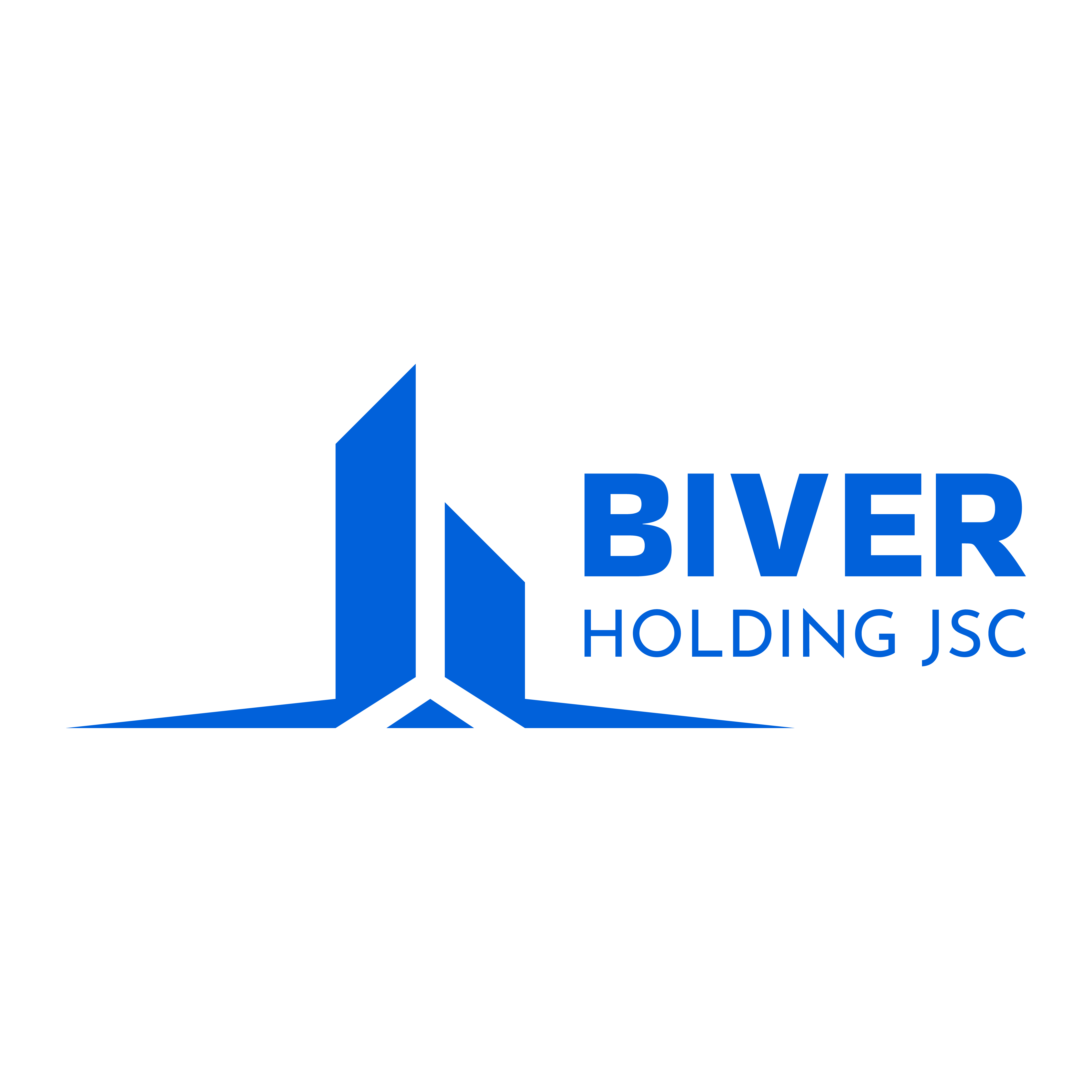 CÔNG TY CỔ PHẦN BIVER HOLDING