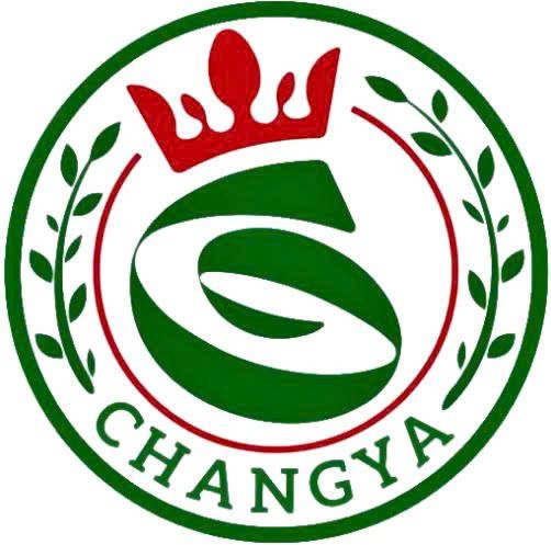 CÔNG TY TNHH NINGBO CHANGYA PLASTIC (VIỆT NAM)