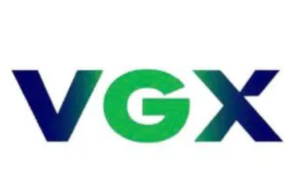 CÔNG TY CỔ PHẦN HẠ TẦNG NĂNG LƯỢNG XANH VIỆT NAM