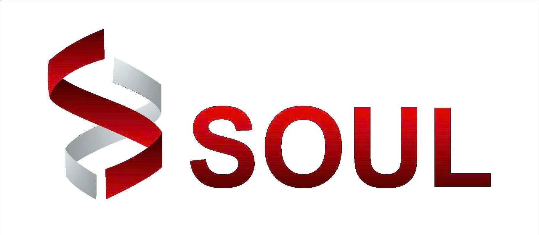 CÔNG TY TNHH THƯƠNG MẠI VÀ DỊCH VỤ SOUL VIỆT NAM