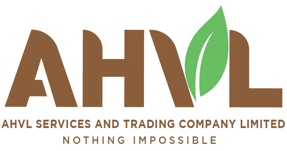 CÔNG TY TNHH THƯƠNG MẠI VÀ DỊCH VỤ AHVL