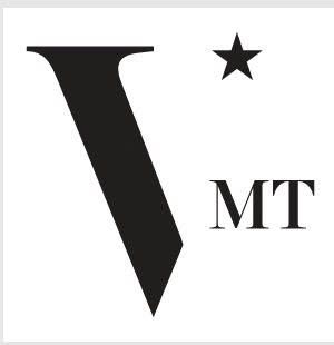 Công Ty TNHH Giải Pháp VMT