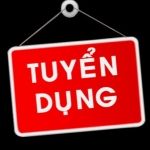 CÔNG TY TNHH THƯƠNG MẠI VẬN TẢI DL