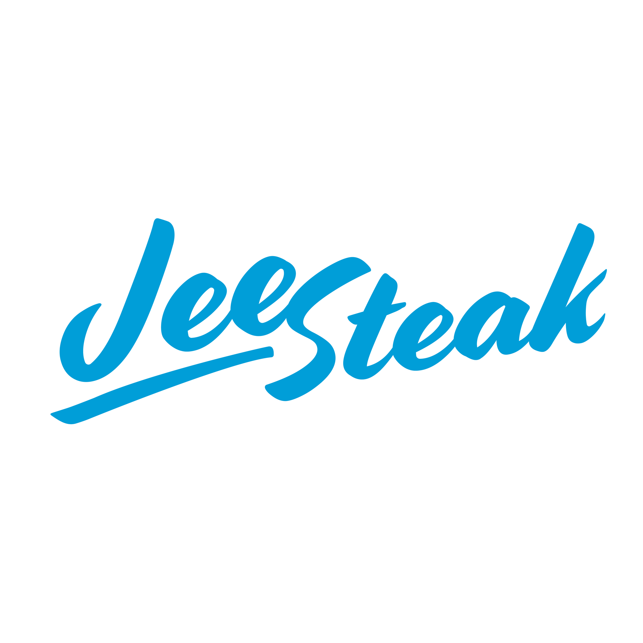 Công Ty Cổ Phần JeeSteak