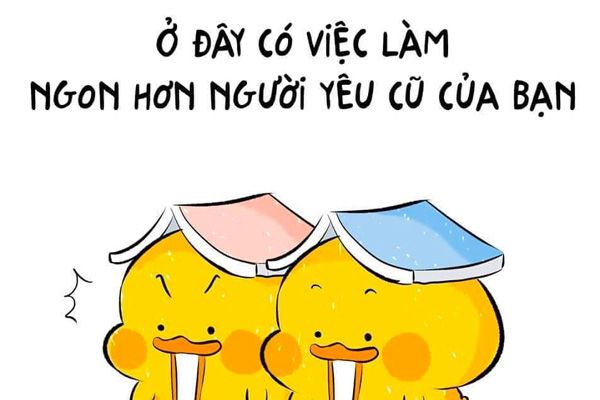Công Ty Hồng Quân
