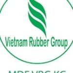 CÔNG TY CỔ PHẦN GỖ MDF VRG KIÊN GIANG