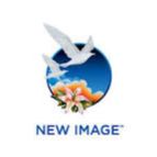 CÔNG TY TNHH MỘT THÀNH VIÊN NEW IMAGE VIỆT NAM 